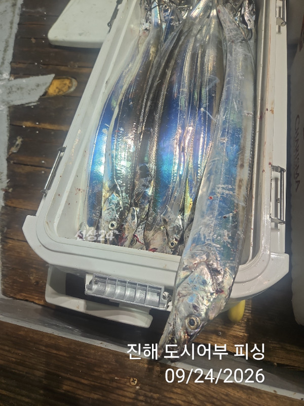 KakaoTalk_20260924_050456578_16.jpg