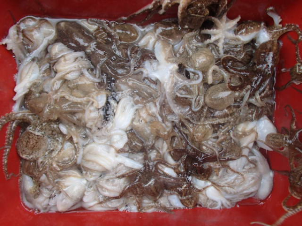 115.JPG