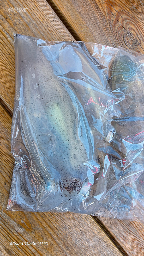 20260916_133943.jpg