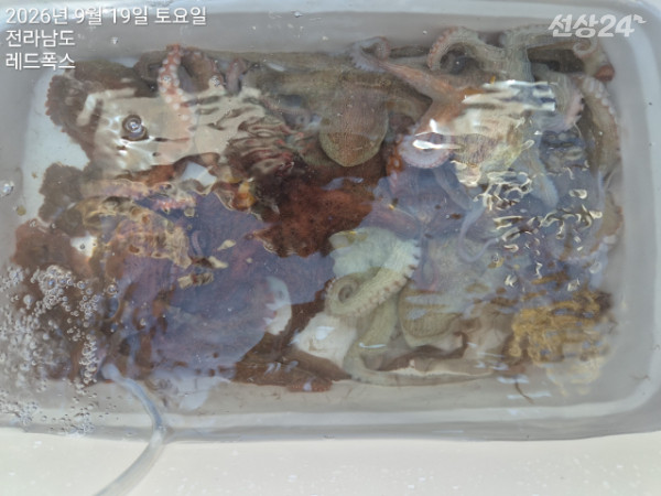 레드폭스피싱_사진_20260919_37.jpg
