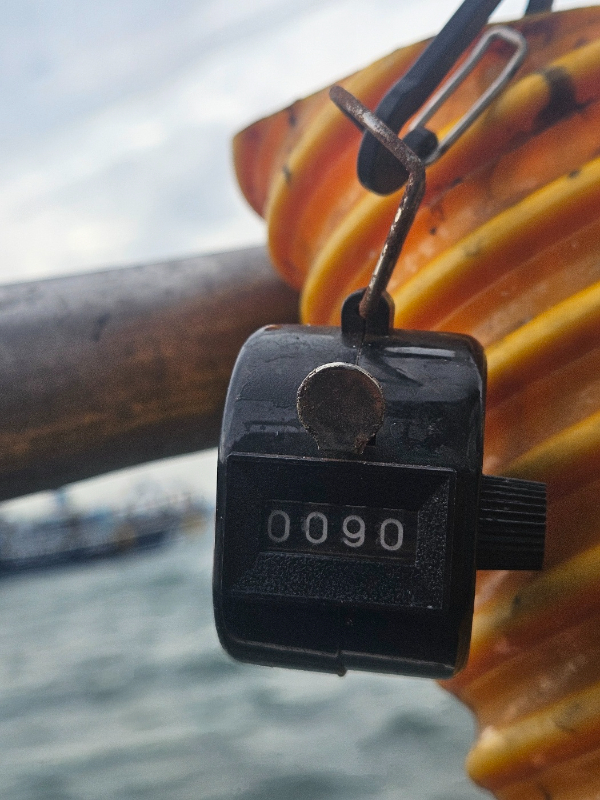 1789111358416.jpg