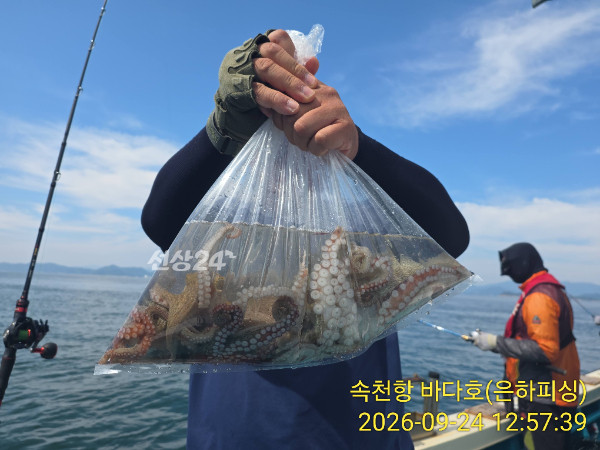 IMG_20260924_125739.jpg