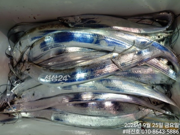 1000033198.jpg