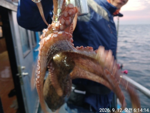 KakaoTalk_20260912_072757540.jpg