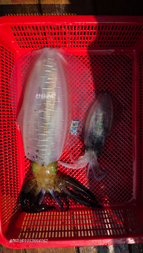 20260930_132016.jpg