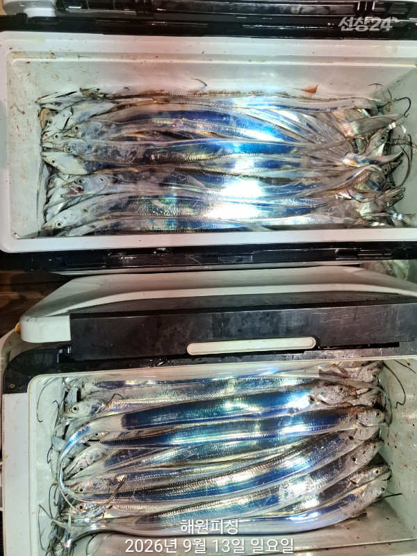 1000036691.jpg