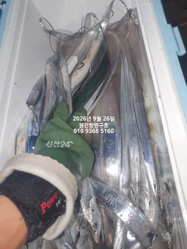 KakaoTalk_20260926_035150822_17.jpg