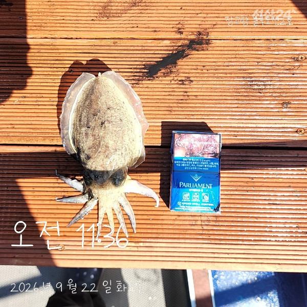 1000017877.jpg