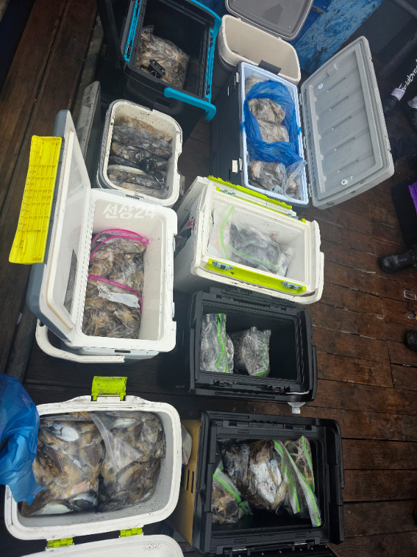 20260924_164919.jpg