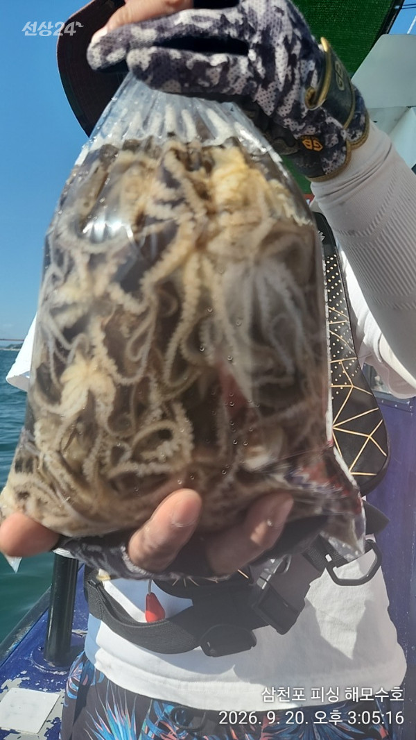 IMG20260920_150516.jpg