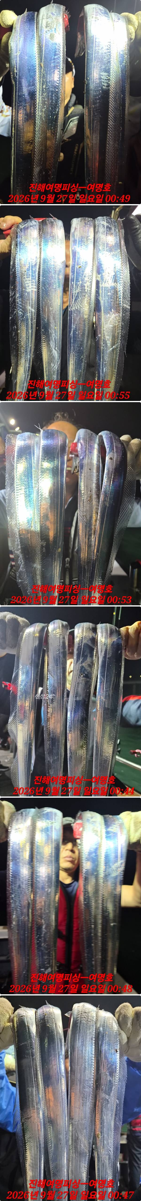 27일갈치상.jpg