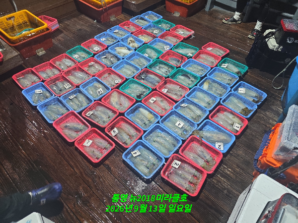 1000080070.jpg