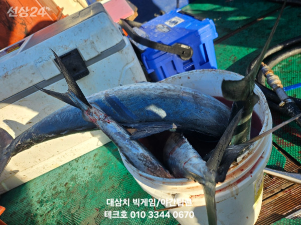 KakaoTalk_20260923_081932438.jpg