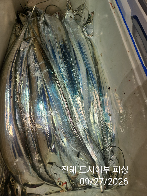 KakaoTalk_20260927_050422422_18.jpg