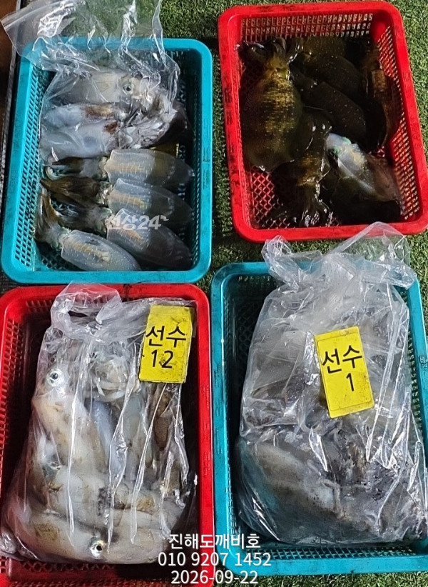 8357.jpg