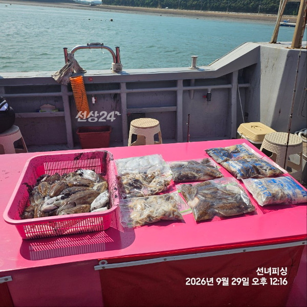 IMG_5920.jpeg