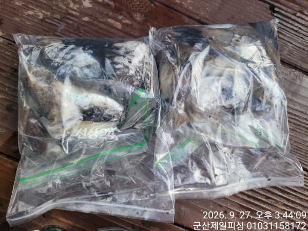 KakaoTalk_20260927_163015408_13.jpg