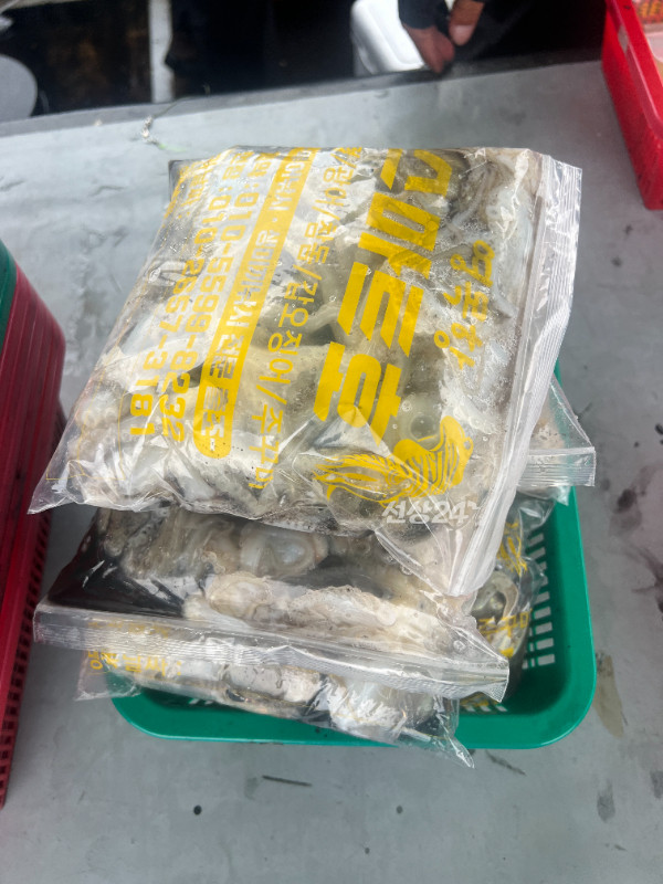 KakaoTalk_20260924_172314773_10.jpg