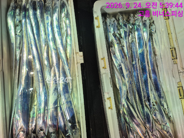 1000056238.jpg