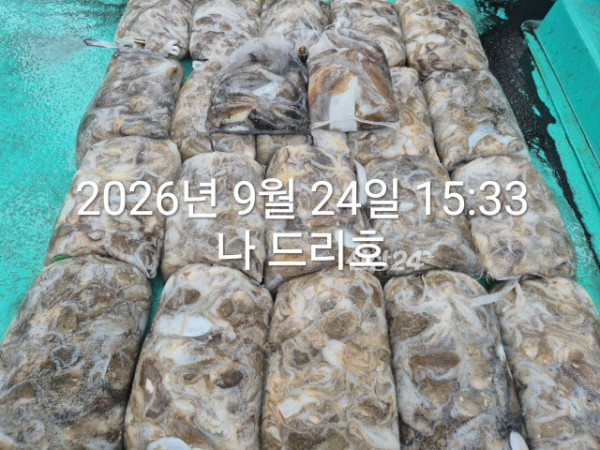 KakaoTalk_20260924_161734361_02.jpg