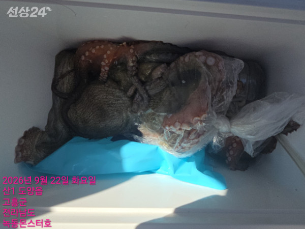 BandPhoto_2026_09_22_21_23_53_8.jpg
