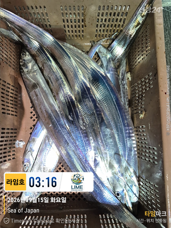 KakaoTalk_20260915_093234679_26.jpg