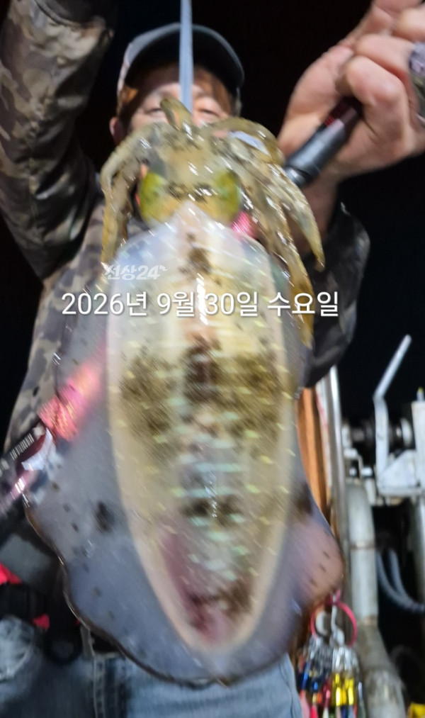 88136.jpg