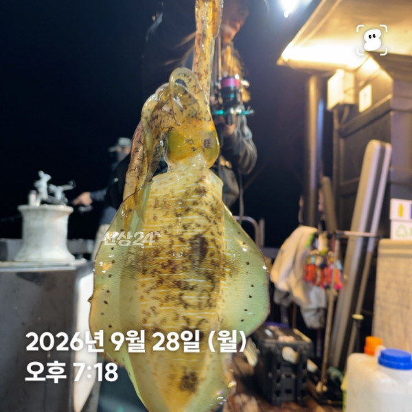 신신낚시 강구점 신신호_사진_20260929_13.jpg