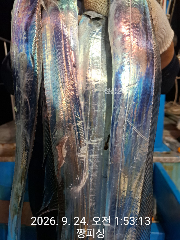1000083293.jpg