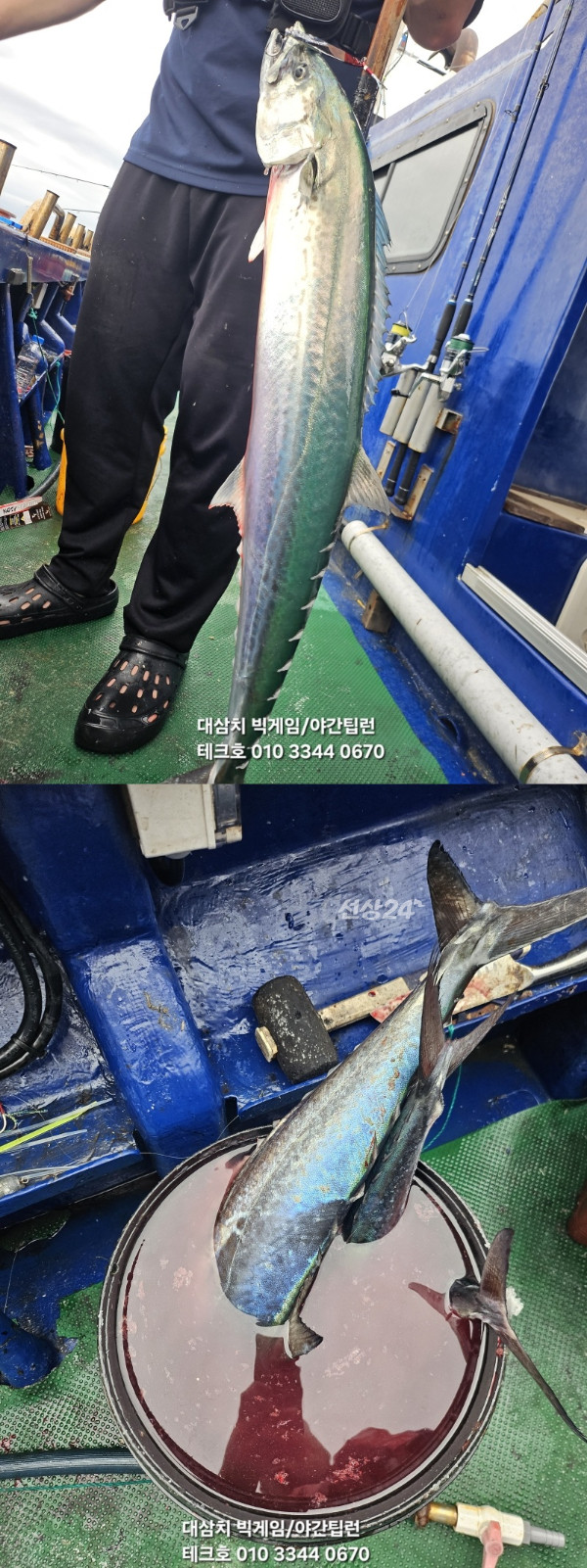 KakaoTalk_20260926_165112542_09-vert.jpg
