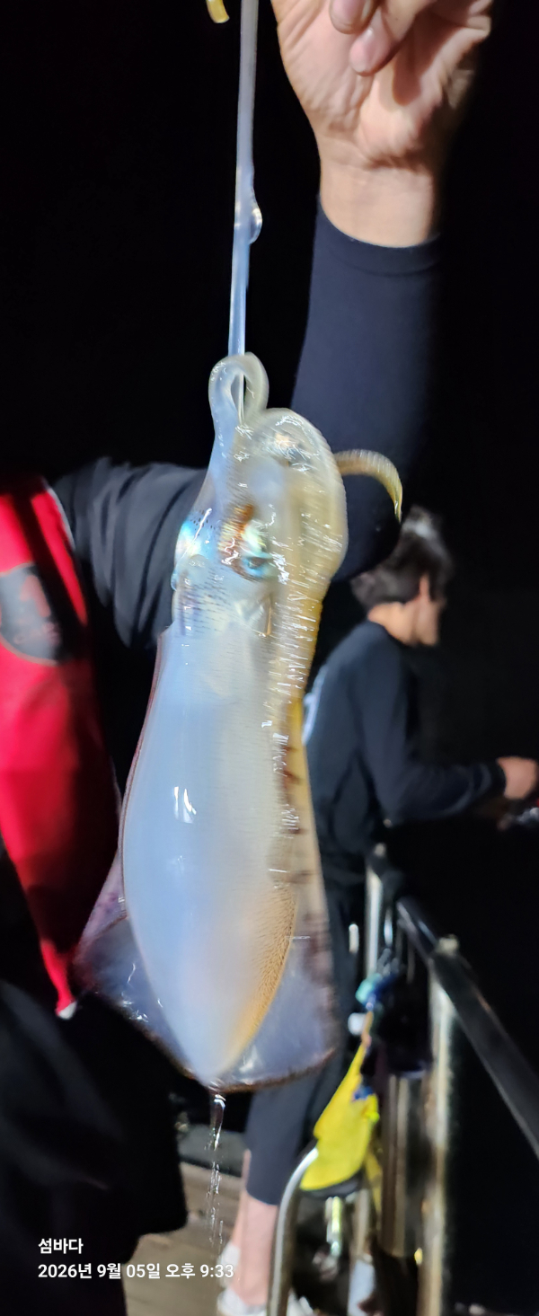 20260905_213312.jpg