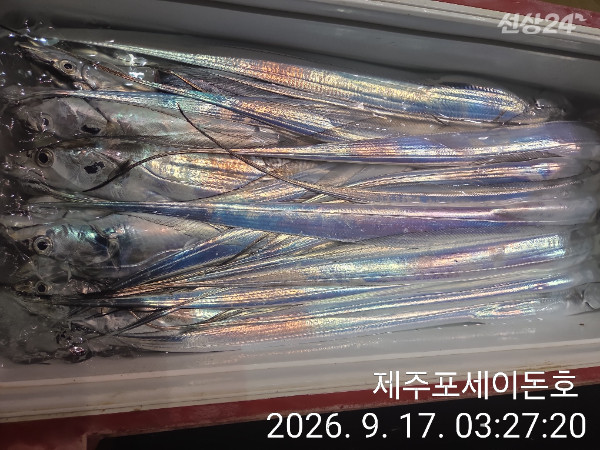 1000043762.jpg