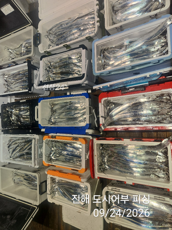 KakaoTalk_20260924_050456578_08.jpg