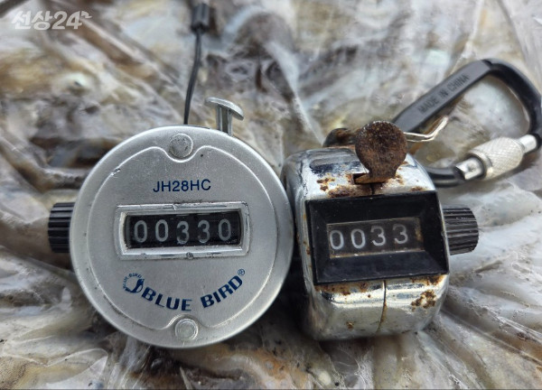 22900.jpg