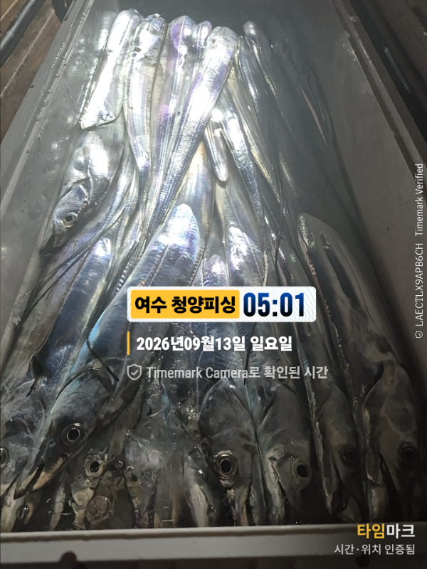 2026-09-13 05.01.21__(제목-여수 청양피싱).jpg