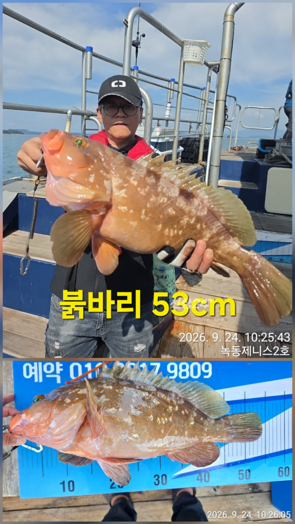 50401.jpg