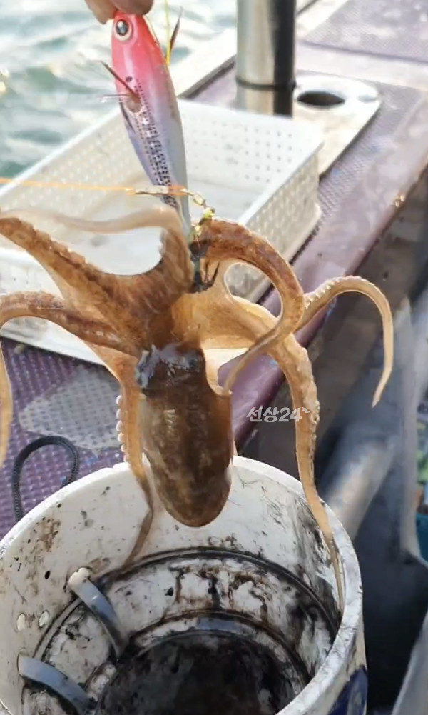 Screenshot_20260930_130928_Video Player.jpg