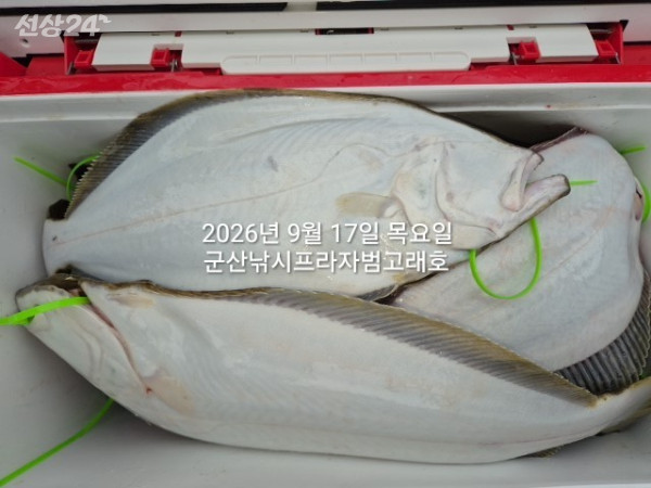 KakaoTalk_20260917_160219123_01.jpg
