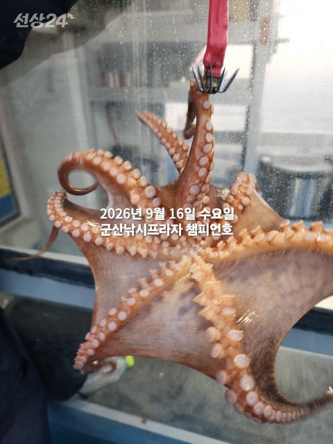 KakaoTalk_20260916_073049665_04.jpg
