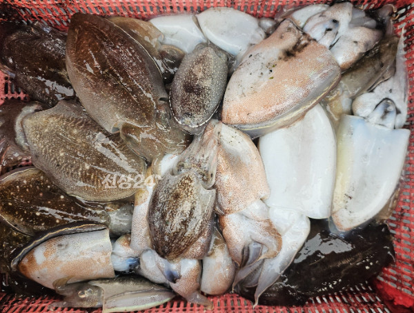 KakaoTalk_20260928_201331890_07.jpg