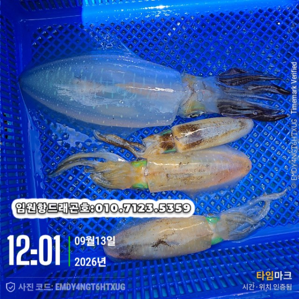 3187.jpg