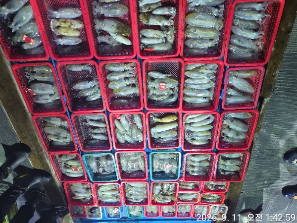 43882.jpg