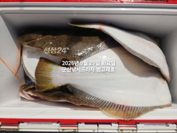 KakaoTalk_20260929_140337047.jpg