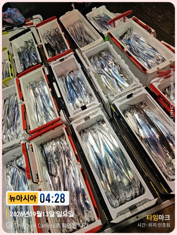 KakaoTalk_20260913_063316281_14-down.jpg