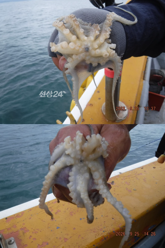 스크린샷 2026-09-26 105807.png