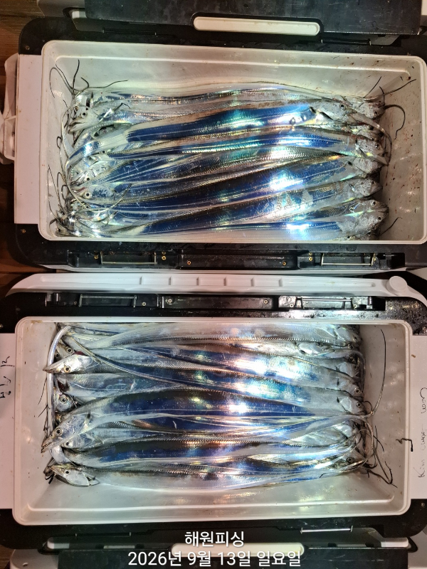 1000036692.jpg