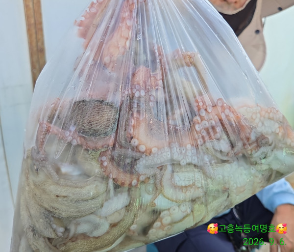 쎄븐피싱클럽(선상 버스출조전문)_사진_20260908_3.jpg