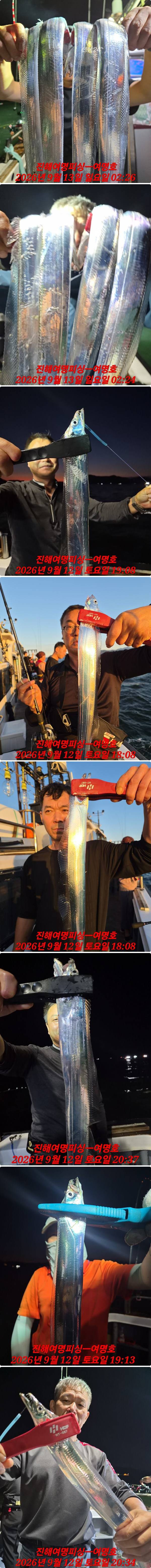 13일갈치중.jpg