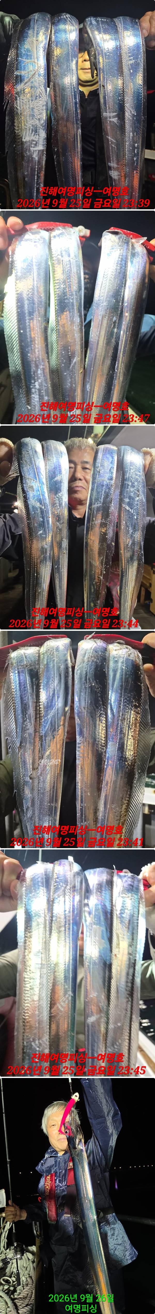 26일갈치중.jpg