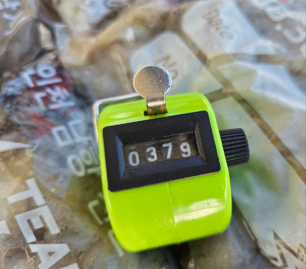 22146.jpg